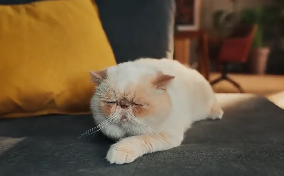 电视广告图片