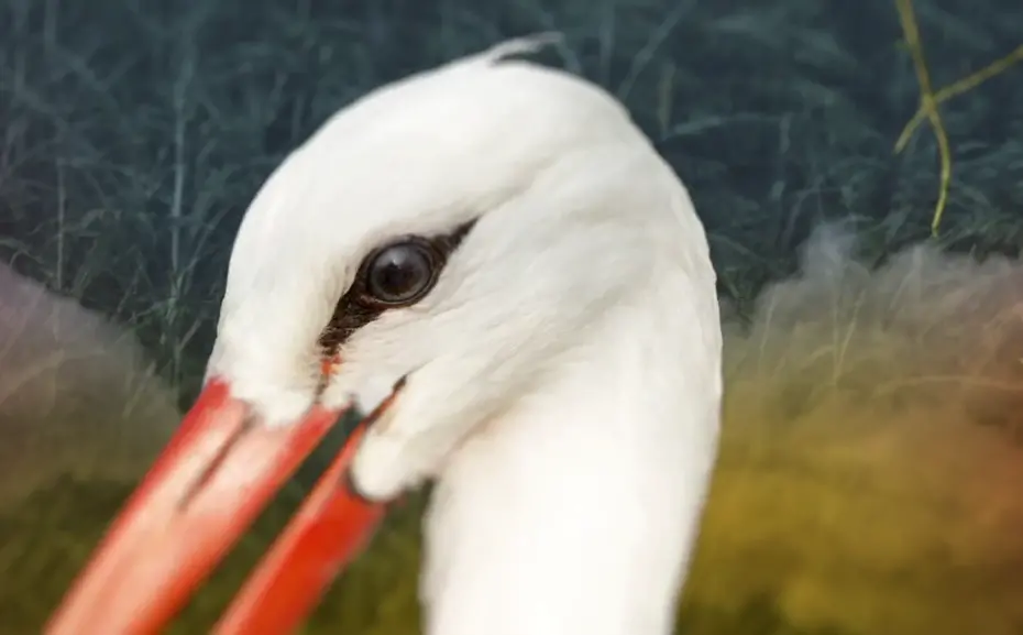3d角色动画图片 3d角色动画图片