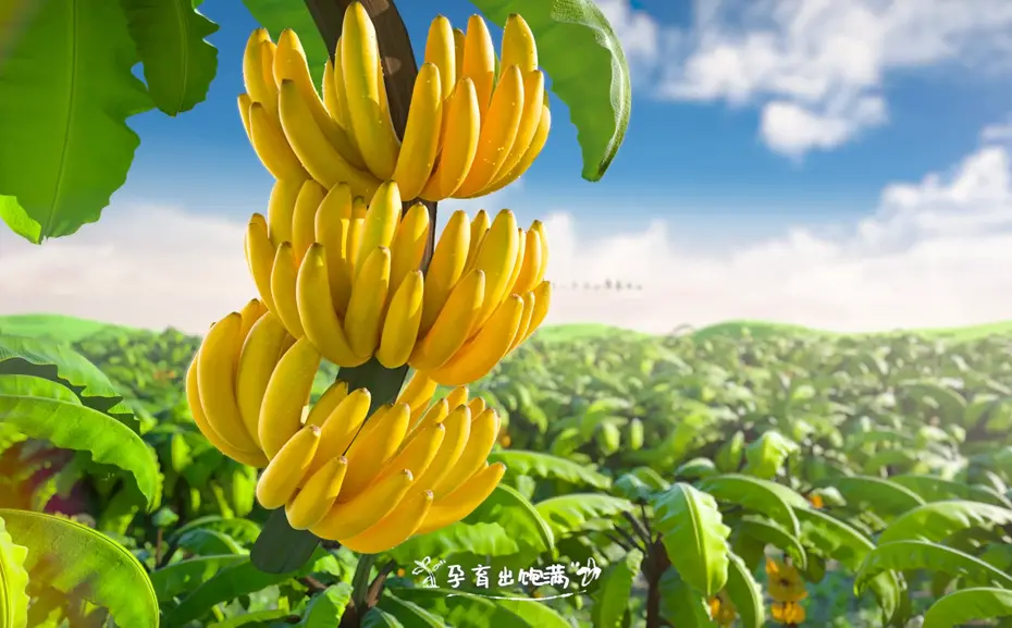 三维动画和二维动画分不清还能干分镜吗 三维动画和二维动画分不清还能干分镜吗