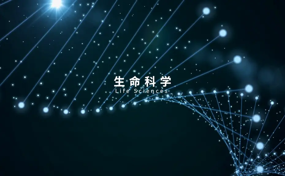 宣传片制作的十大步骤是什么呢 宣传片制作的十大步骤是什么呢