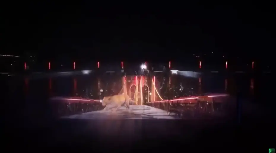 全息投影的发展历程是什么?全息投影技术的演进历程概述 全息投影的发展历程是什么?全息投影技术的演进历程概述