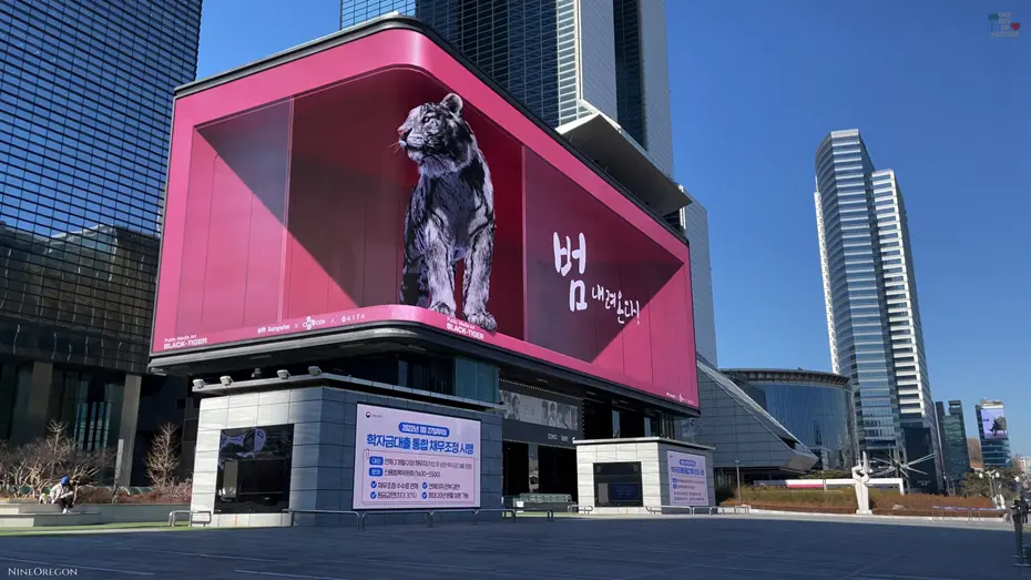 3d全息投影一般多少钱一个平方？3D全息投影每平方米的价格大概是多少？